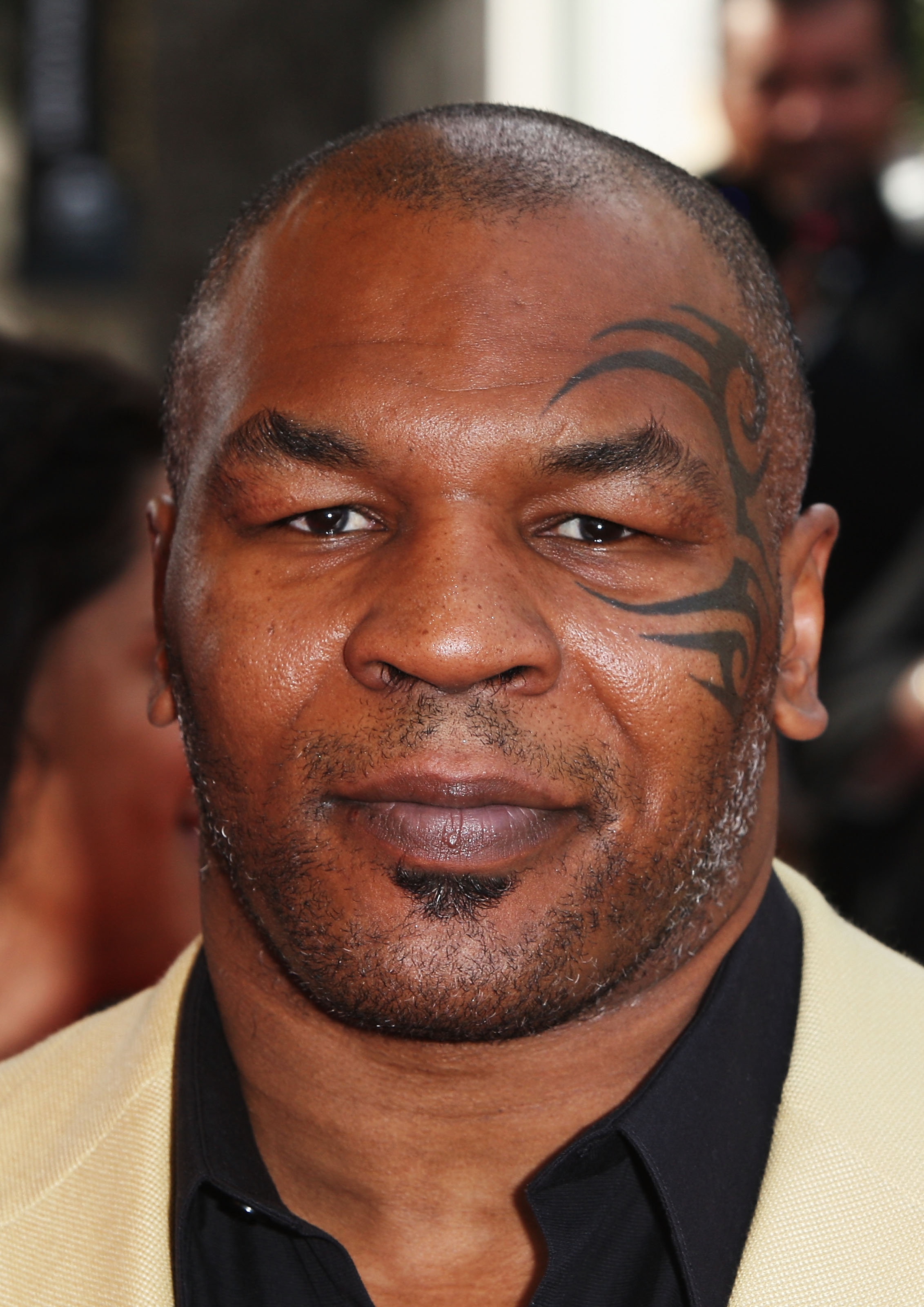 Lý Tiểu Long và Mike Tyson sẽ tham gia Diệp Vấn 3 của Chân Tử Đan