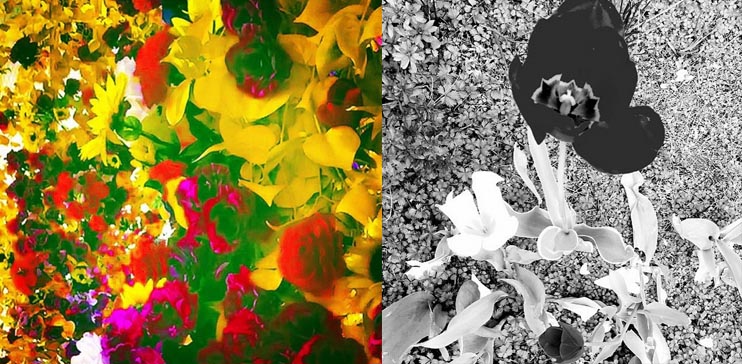 Fan 'tung' bằng chứng F(x) Krystal đang hẹn hò với T.O.P