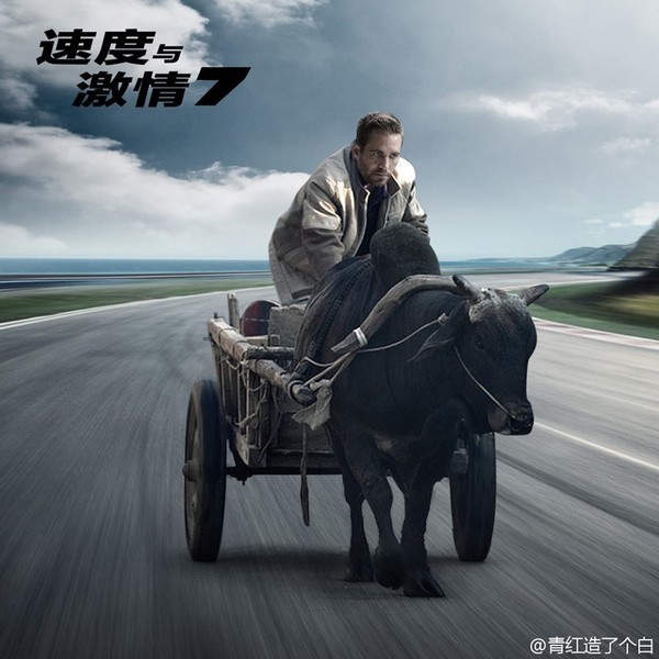 Cười té ghế với các quái xế 'Fast & Furious 7' phiên bản xe bò