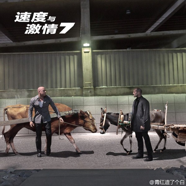 Cười té ghế với các quái xế 'Fast & Furious 7' phiên bản xe bò