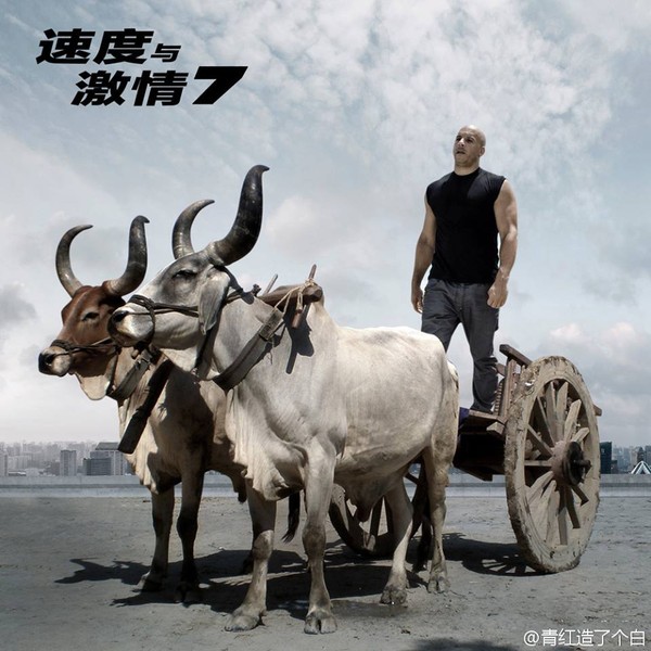 Cười té ghế với các quái xế 'Fast & Furious 7' phiên bản xe bò