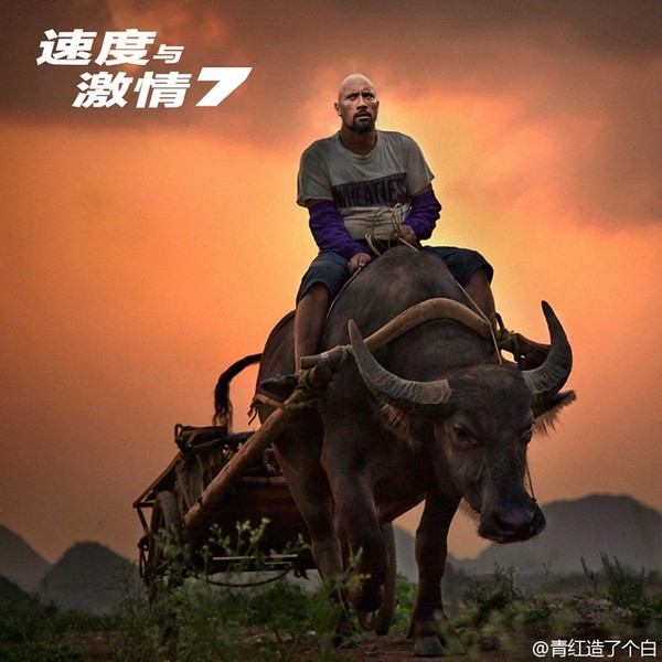 Cười té ghế với các quái xế 'Fast & Furious 7' phiên bản xe bò