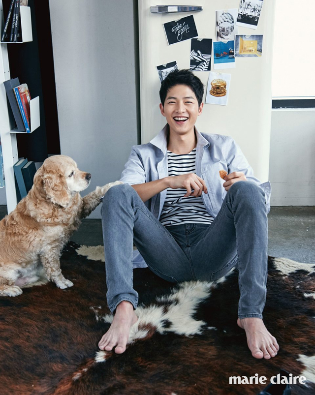 Mê mẩn với nụ cười siêu đáng yêu của Song Joong Ki bên thú cưng