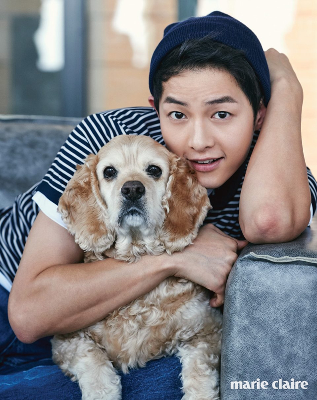 Mê mẩn với nụ cười siêu đáng yêu của Song Joong Ki bên thú cưng