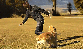 Không thể rời mắt với '29 sắc thái' siêu đáng yêu của 'ông chú' Lee Min Ho