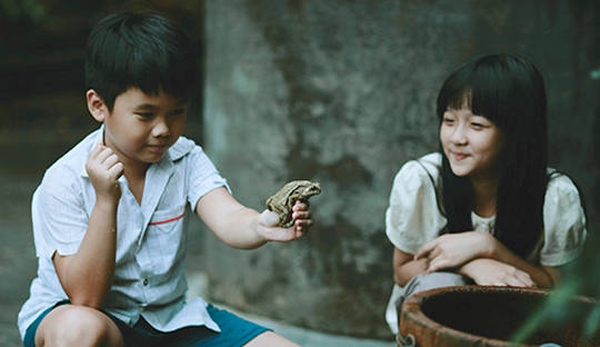 Phim Việt 'sặc mùi'... kim chi bao sân truyền hình
