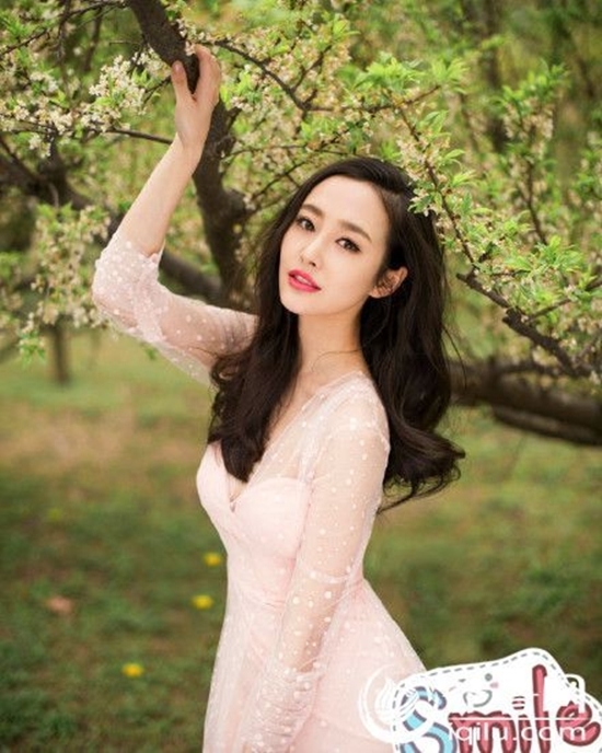 Ngắm dàn mỹ nhân xinh như mộng của chồng Lâm Tâm Như