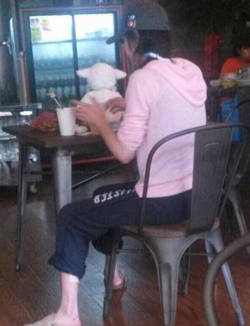 Trịnh Sảng gây sốt vì loạt ảnh tự bán hàng, quét dọn tiệm ăn gia đình