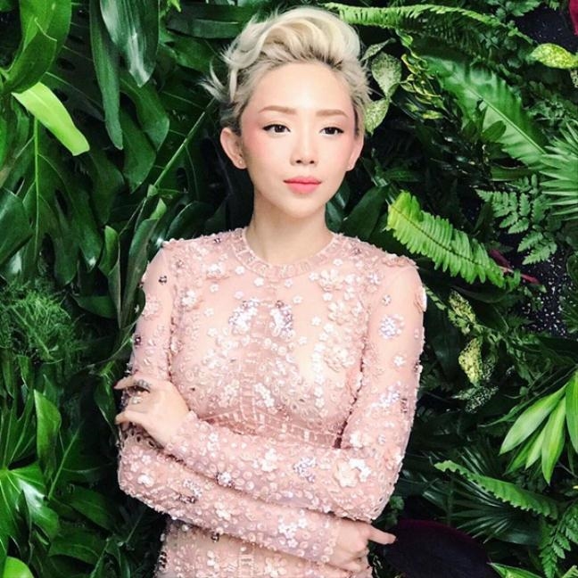 Dàn sao Việt sẽ làm nghề gì nếu không bén duyên showbiz?
