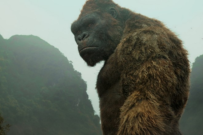 'Kong: Skull Island' thu 104 tỷ đồng tại Việt Nam sau 7 ngày