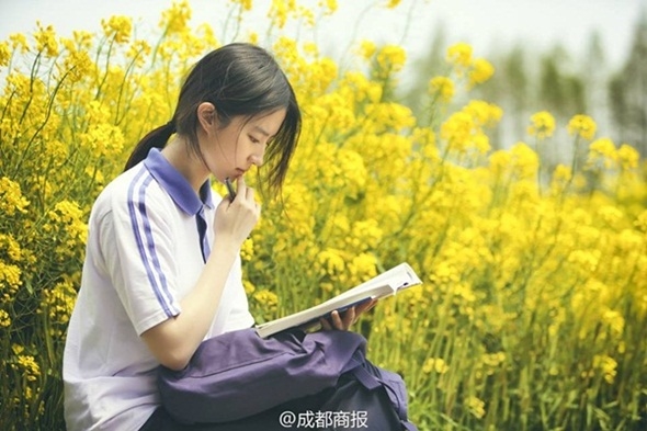Sao Hoa ngữ nào đánh bại sự tàn phá của thời gian?
