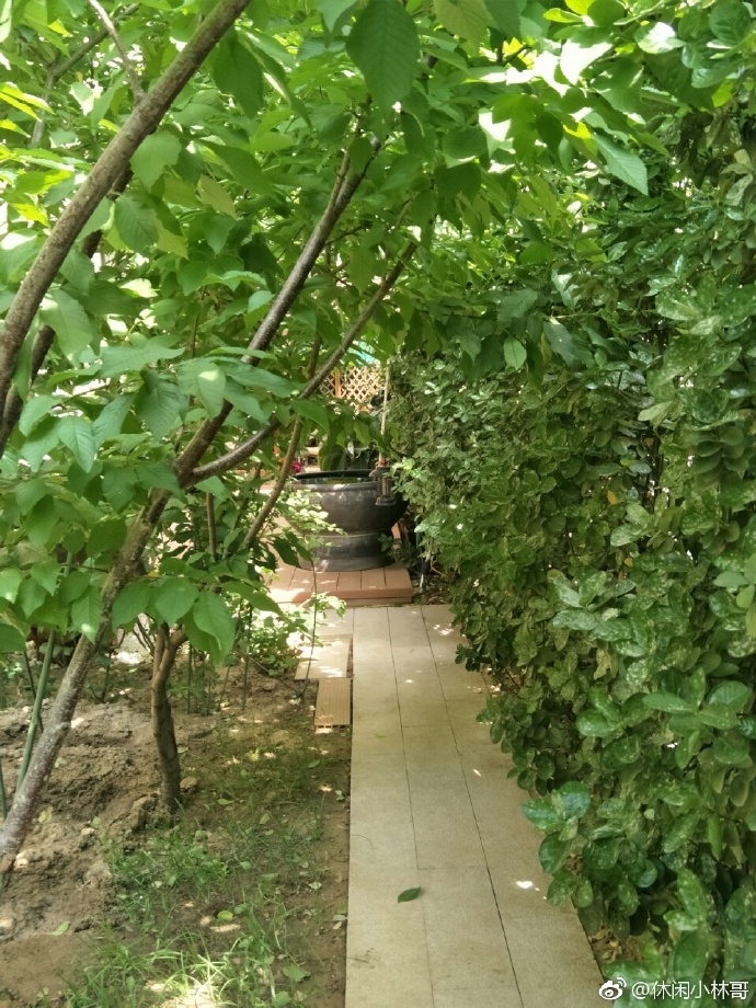 Khoe nhà do con gái mua, bố Dương Mịch 'tiện tay' khoe luôn con rể Lưu Khải Uy
