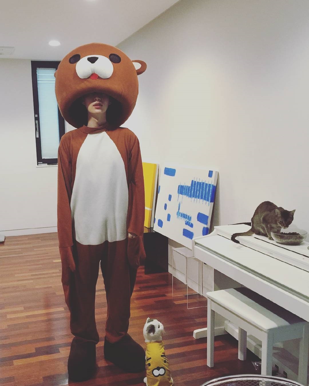 Ahn Jae Hyun biến thành gấu Teddy nhảy tặng vợ để kỷ niệm đám cưới