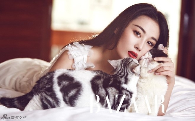 Các sao Hoa ngữ “phất” lên như diều gặp gió nhờ thay tên đổi họ