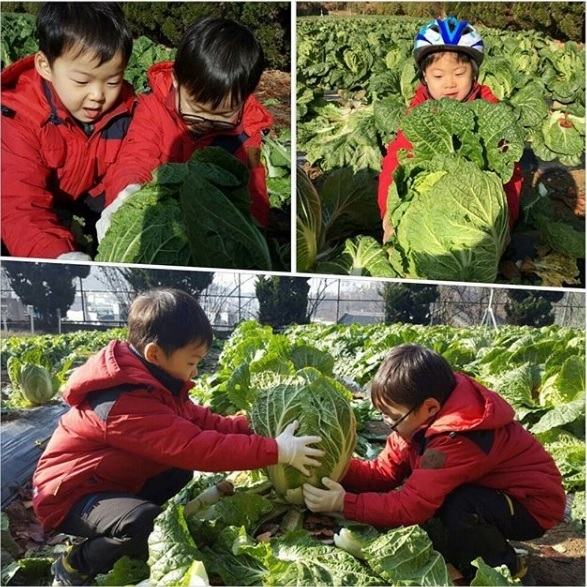 Bộ ba Daehan, Minguk, Manse của 'bố béo' Song Il Gook giờ ra sao?