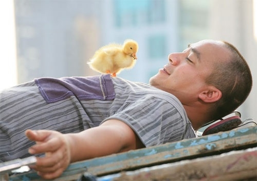 Dàn sao “Bỗng dưng muốn khóc” sau 9 năm giờ ra sao?