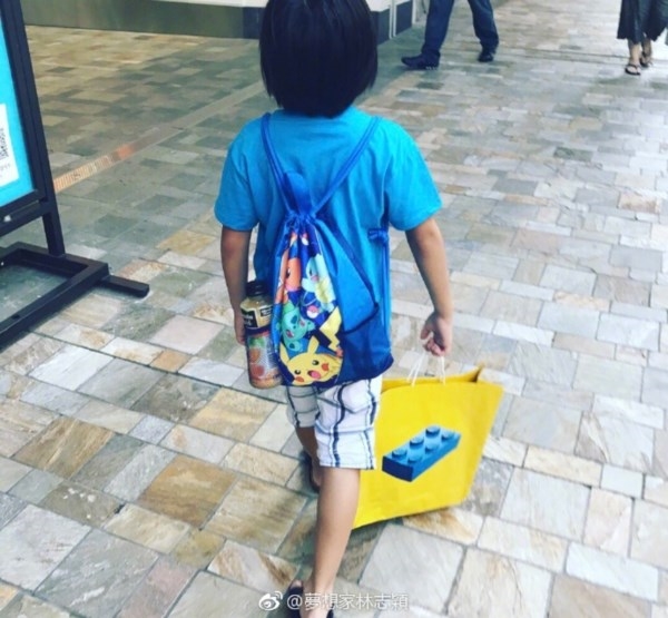 Lâm Chí Dĩnh vẫn muốn có thêm nàng công chúa
