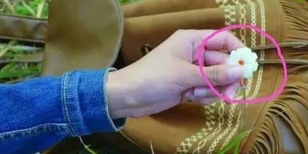 5 bộ phim Hoa ngữ “nghèo rớt mùng tơi” nhưng vẫn gây sốt trên màn ảnh