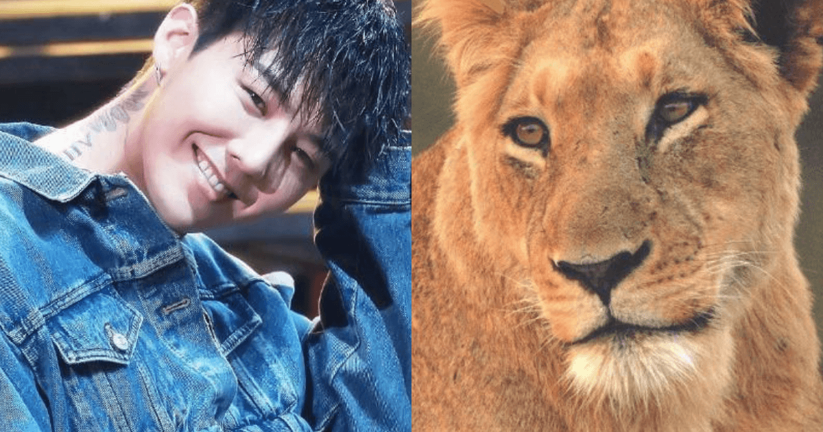 G-Dragon được fan tặng cả một con sư tử thật mừng sinh nhật