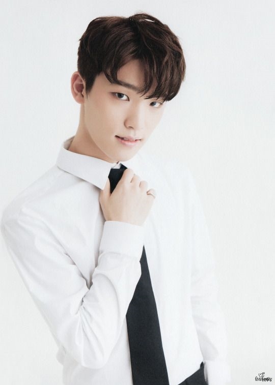 Cuộc lột xác trở thành các nam nữ thần quyến rũ của 14 gương mặt Kpop