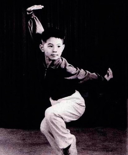 Con đường thành danh của Lý Liên Kiệt, Chân Tử Đan, Ngô Kinh