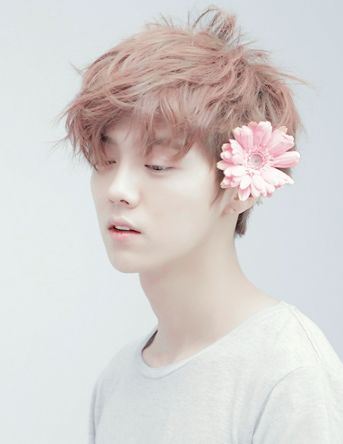 5 mỹ nam Hoa ngữ “hoàn hảo” khiến fan cứ mong mỏi anh đừng thuộc về ai
