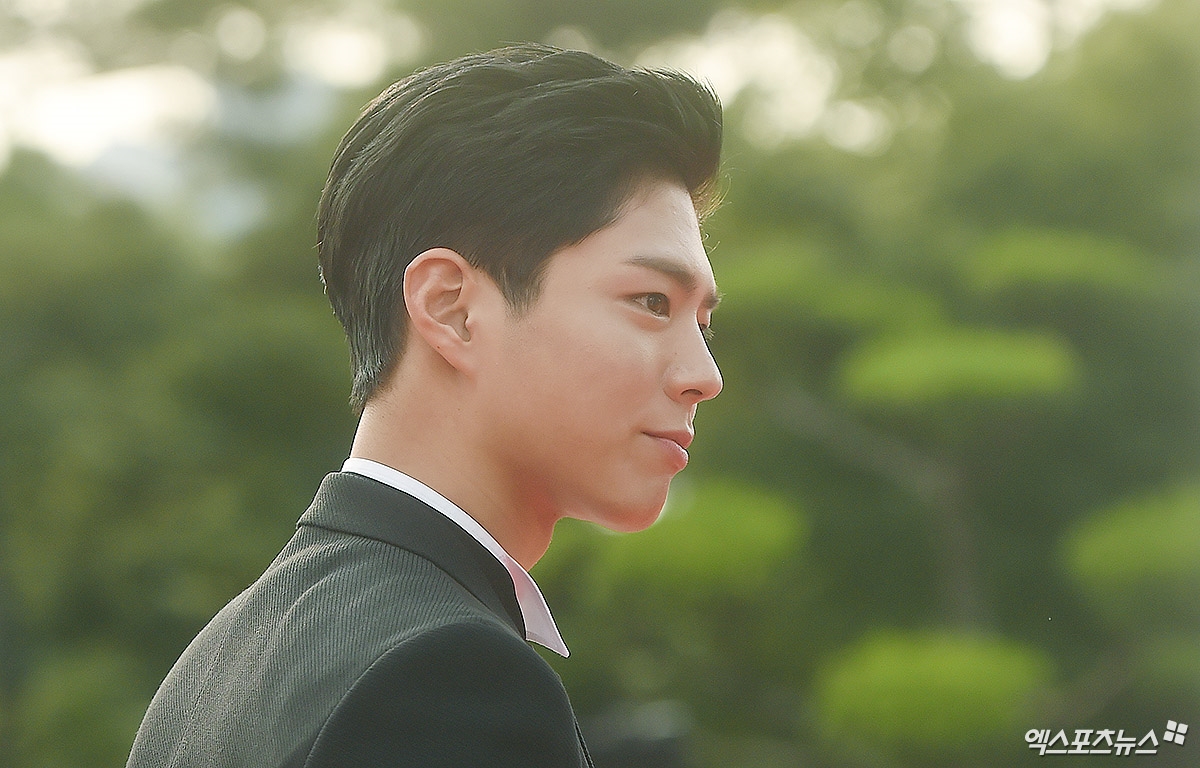 Dàn sao trên thảm đỏ 'Seoul Drama Award 2017'