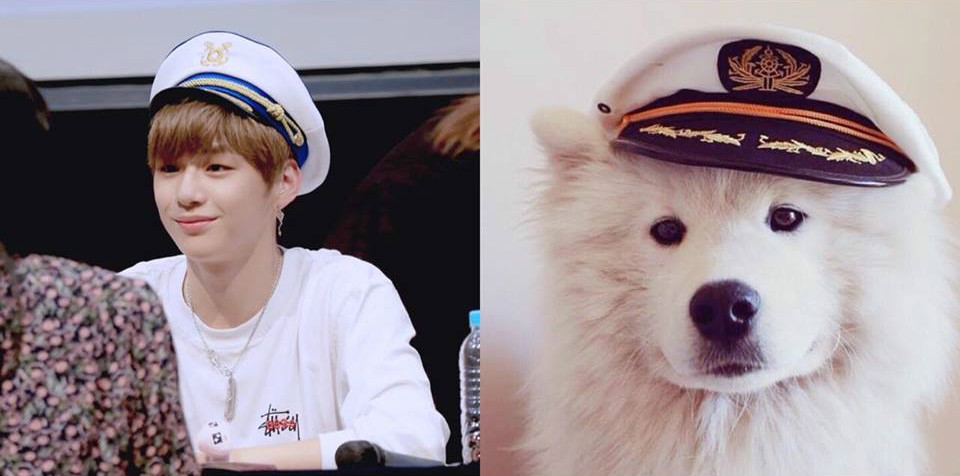 Rụng tim trước sự đáng yêu “anh em sinh đôi” Kang Daniel - cún Samoyed