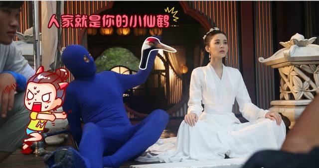 Còn thực tế, có hẳn một chú “Hạc Tiên” khổng lồ thế này đây.