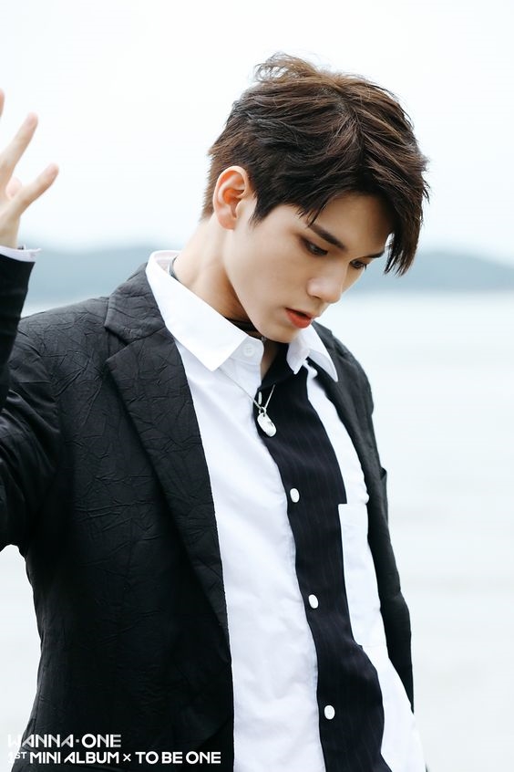 Những bộ phận cơ thể của Wanna One mà fan muốn bảo tồn như báu vật
