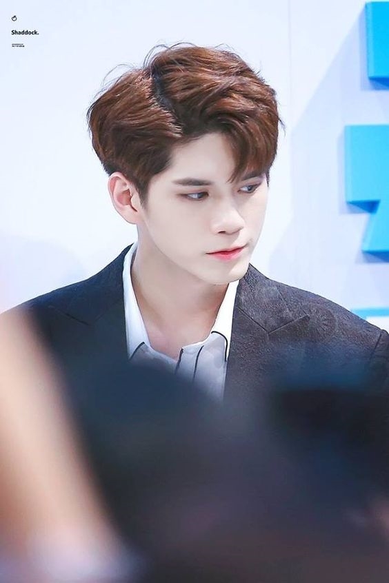 Những bộ phận cơ thể của Wanna One mà fan muốn bảo tồn như báu vật