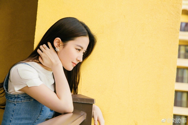 8 mỹ nhân Hoa Ngữ sở hữu góc nghiêng đẹp mê hồn