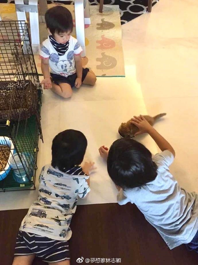 Lâm Chí Dĩnh gây bão vì ảnh Trung thu 'độc nhất vô nhị'