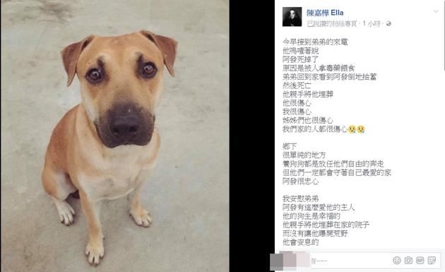 Ella (S.H.E) khóc hết nước mắt khi biết tin chó cưng bị đầu độc chết