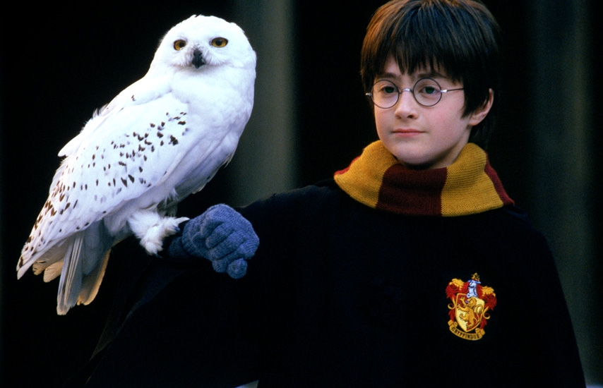 Sự thay đổi của dàn diễn viên nhí Harry Potter