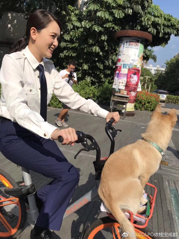 Fan hâm mộ "ghen tỵ" với chó cưng của Trần Kiều Ân