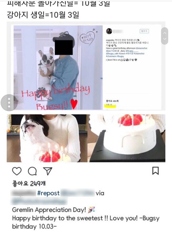 Netizen phẫn nộ Choi Siwon vẫn thả rông và tổ chức sinh nhật cho chú chó sau sự cố cắn chết người
