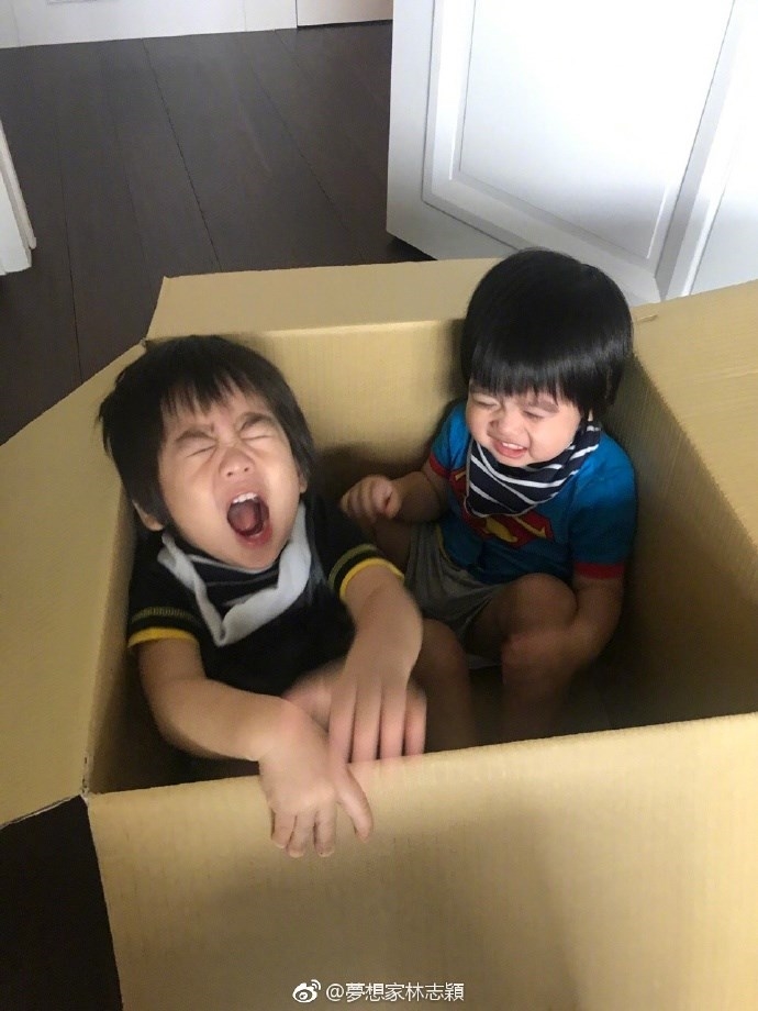 Vợ Lâm Chí Dĩnh dở khóc dở cười hé lộ tính xấu của cặp sinh đôi