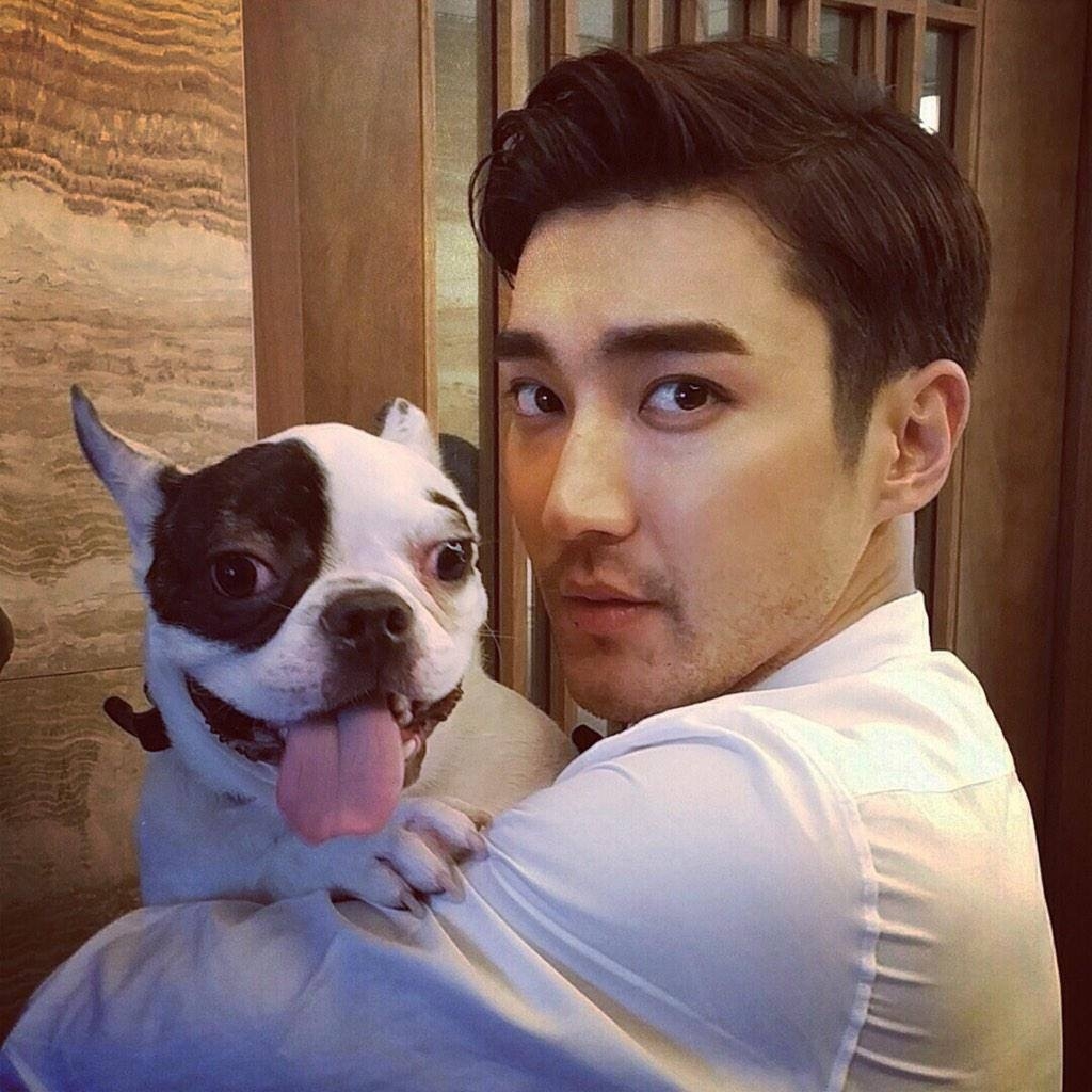 Netizen phẫn nộ Choi Siwon vẫn thả rông và tổ chức sinh nhật cho chú chó sau sự cố cắn chết người