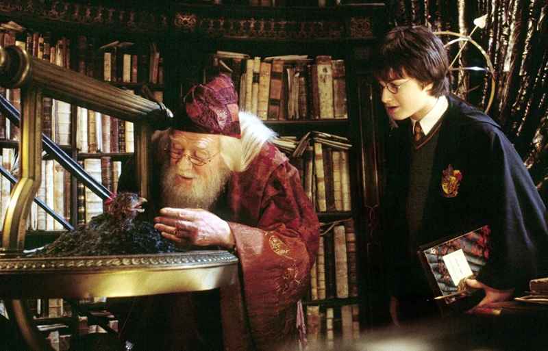 Những chi tiết thú vị về loạt phim “Harry Potter” có thể bạn đã bỏ sót