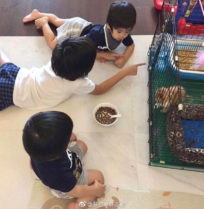 Vợ Lâm Chí Dĩnh dở khóc dở cười hé lộ tính xấu của cặp sinh đôi