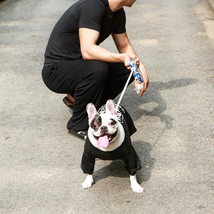 Netizen phẫn nộ Choi Siwon vẫn thả rông và tổ chức sinh nhật cho chú chó sau sự cố cắn chết người