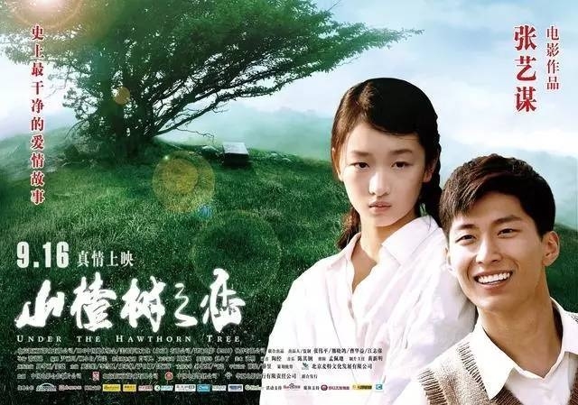 Những mỹ nhân mang danh nấm lùn nhưng vô cùng thành công trong Cbiz