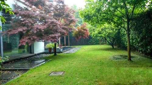 Thống kê tài sản cùng mối quan hệ với nhân vật gia thế của Triệu Vy