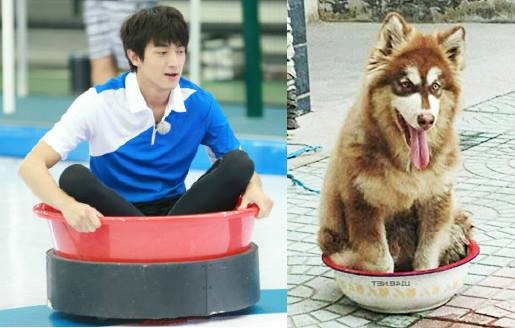 Những bức ảnh chứng minh 'với fan, idol chỉ mãi là em bé'