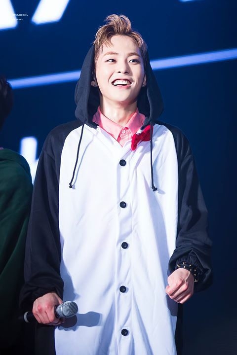 Khoảnh khắc đáng yêu trong bộ đồ thú của idol