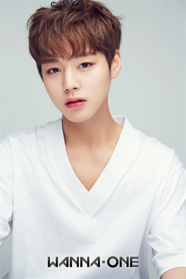 Kang Daniel đứng đầu BXH thần tượng có cuộc đời đáng ước ao nhất