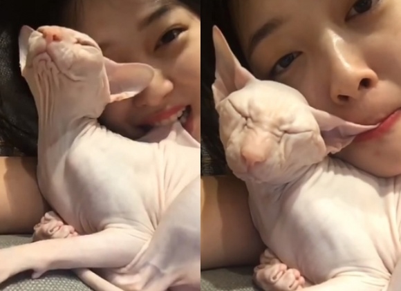 Xót xa khi thần tượng Hàn Quốc bị “ném đá” vì những hiểu lầm tai hại