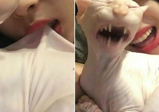 Xót xa khi thần tượng Hàn Quốc bị “ném đá” vì những hiểu lầm tai hại
