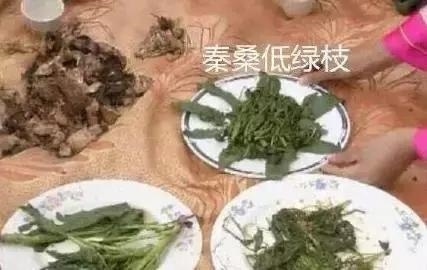 Phim Hoa ngữ và những bí mật ít ai biết về cảnh ăn uống trên màn ảnh